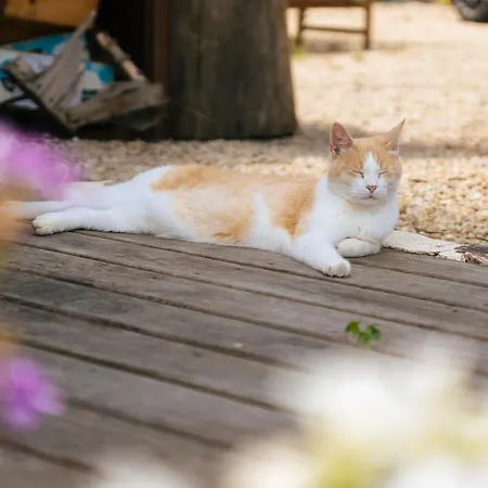 La Petite Hautiere *